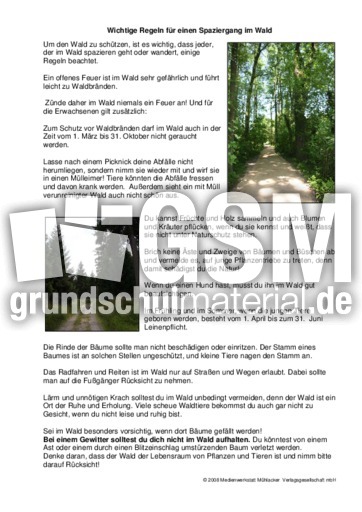 Regeln-für-einen-Spaziergang-im-Wald.pdf